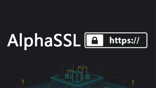 AlphaSSL通配符证书