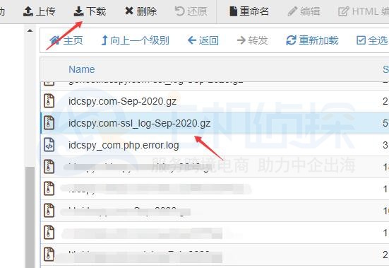 网站日志下载